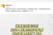 吃瓜娱乐计算机,揭秘娱乐圈背后的故事与真相